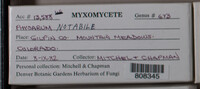 Image Associated With the Occurence